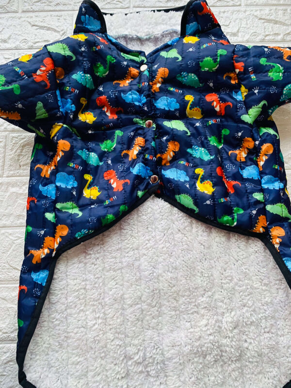 Casaca Impermeable Dino Kids