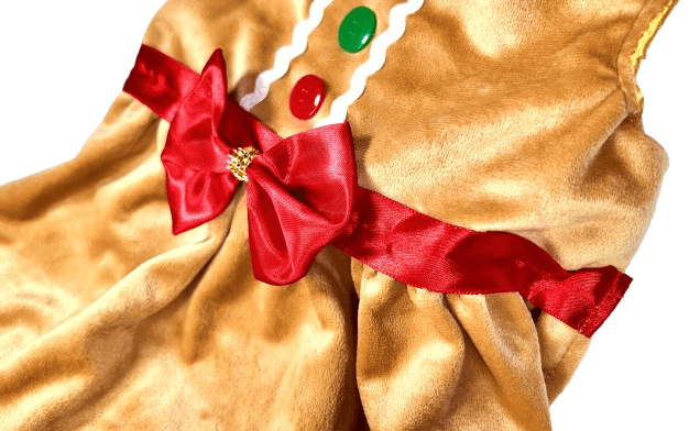 dji_mimo_20251130_231332_20251130231332_1764627145947_photo-removebg-preview dji_mimo_20251130_231332_20251130231332_1764627145947_photo-removebg-preview