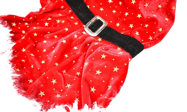 dji_mimo_20251130_232044_20251130232044_1764627192795_photo-removebg-preview dji_mimo_20251130_232044_20251130232044_1764627192795_photo-removebg-preview