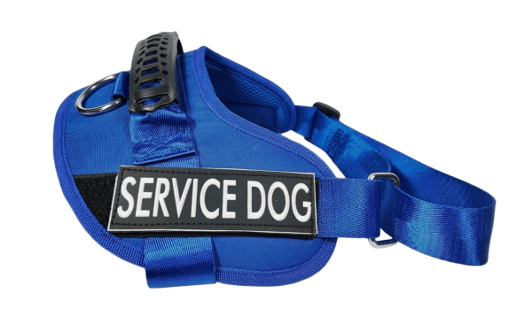 Pechera Service Dog + Soga