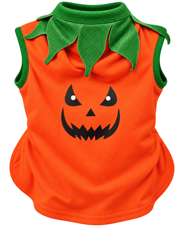 Polo Calabaza Halloween