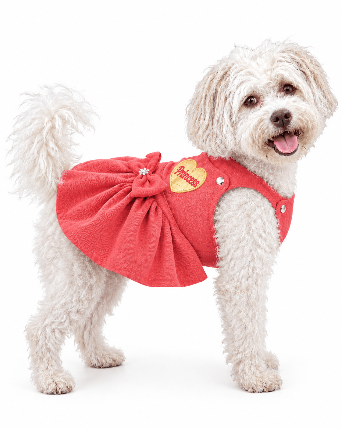 Perrita princesa con vestido coral