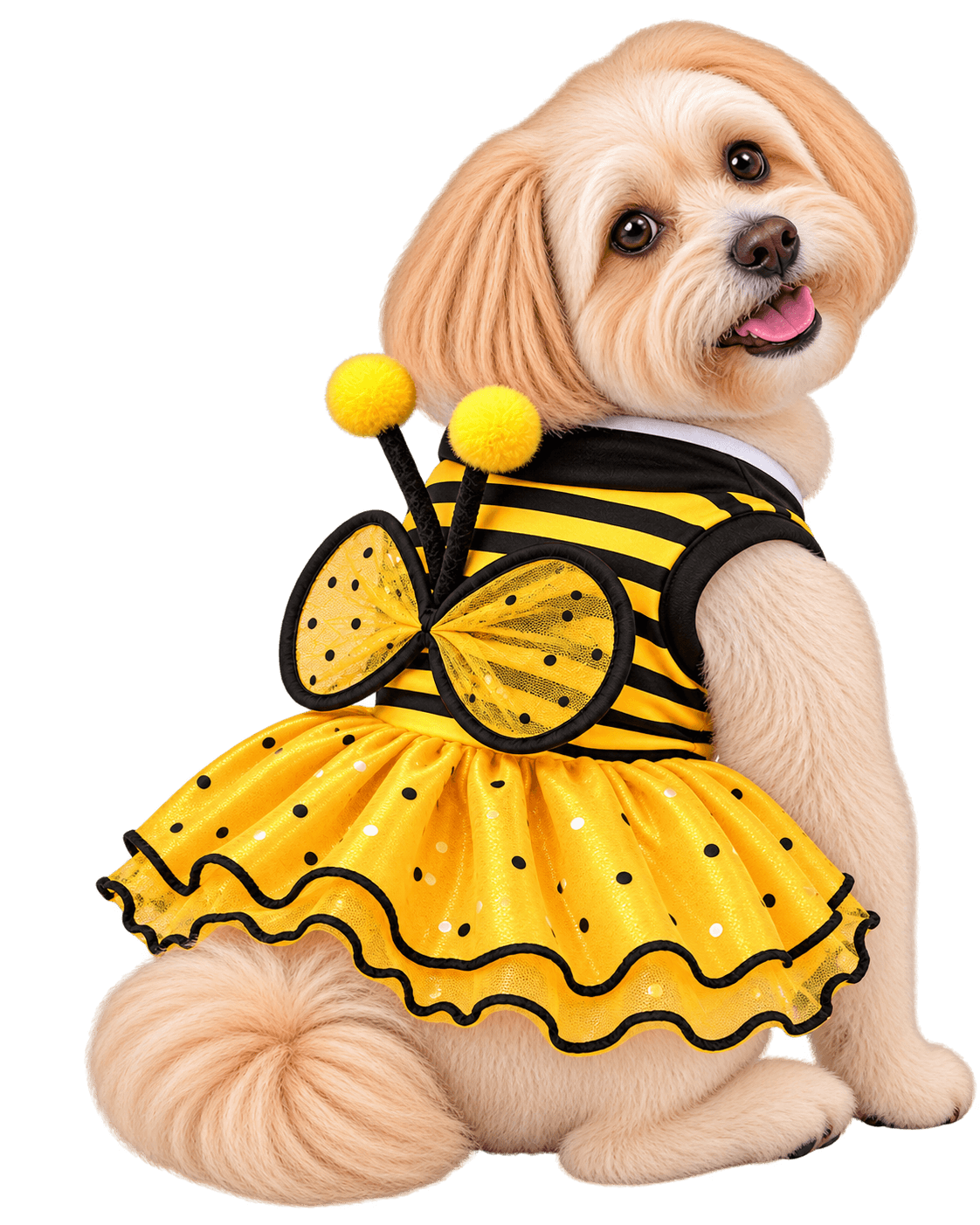 Perrito abeja adorable con tutú y alas
