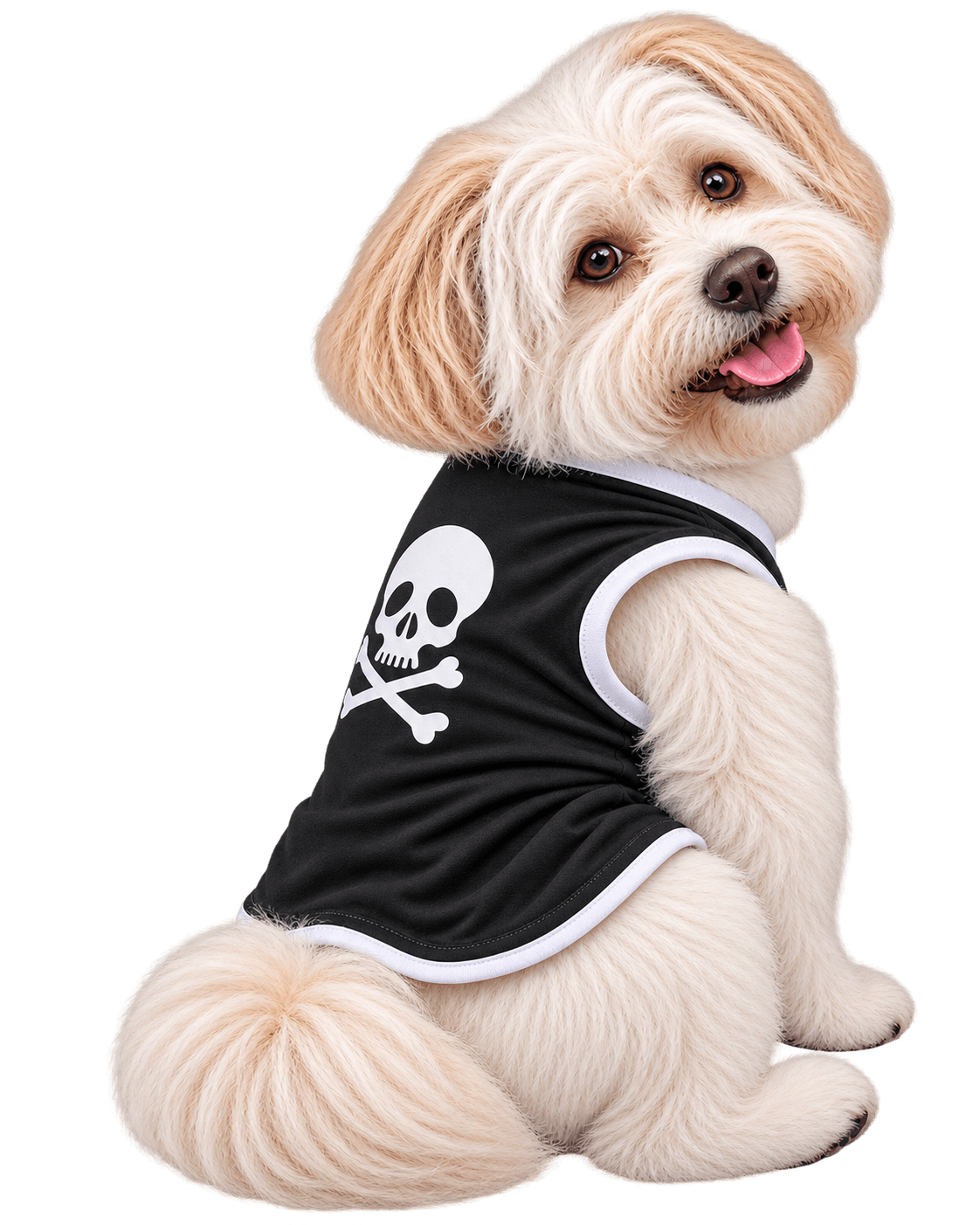 Perrito esponjoso con camiseta calavera